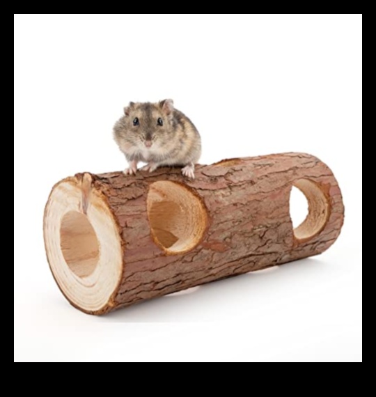 Case de hamsteri Continuare: Încorporarea elementelor naturale pentru îmbogățire