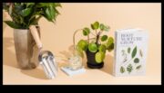 5 cadouri DIY pentru iubitorii de plante pe care le vor folosi de fapt